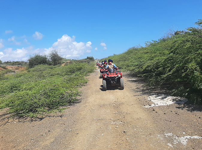 Several quad bikes driving in a row on a sandy path with green bushes on both sides