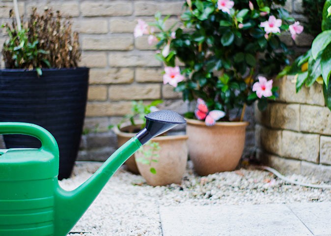 a green watering can with several outdoor plants in the background
