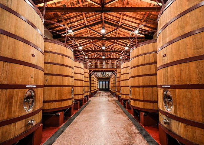 two rows of large wine barrels inside a wine cellar