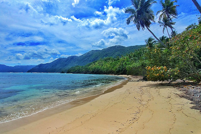 A sandy beach with lush greenery and palm trees, and a bright blue sea