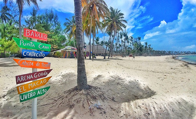 colorful signs on a tropical beach with palm trees