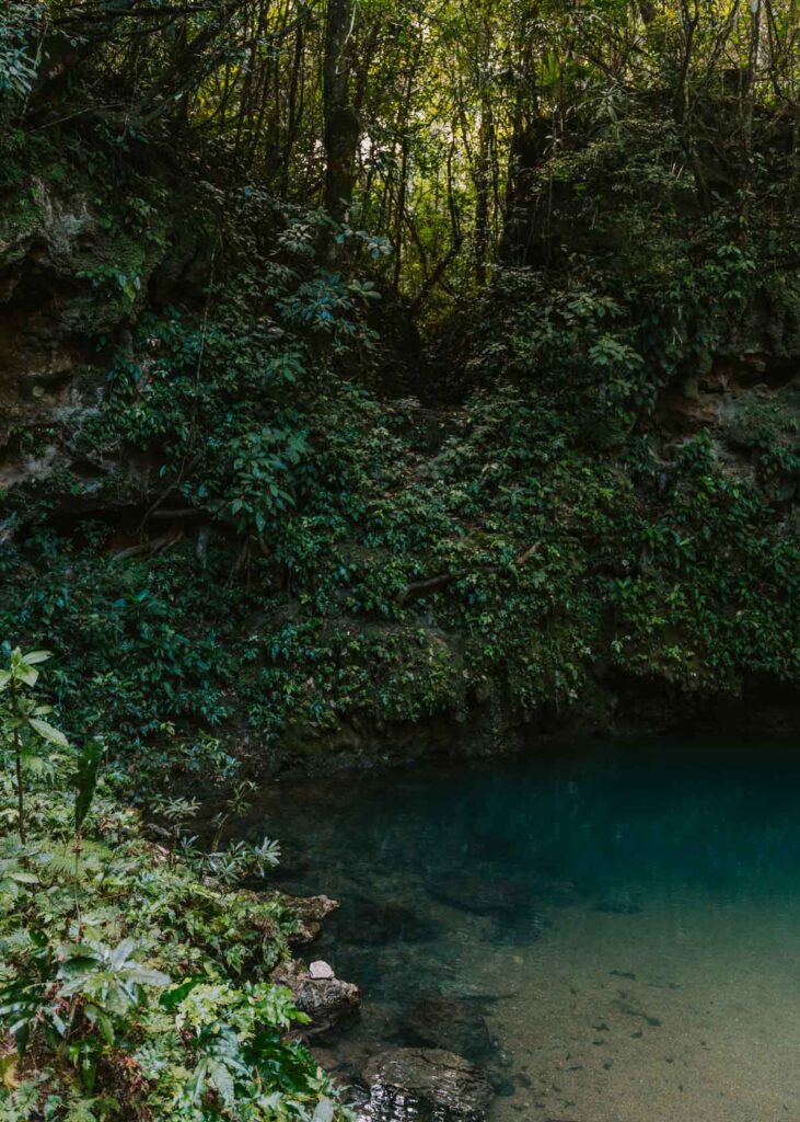 Belize Blue Hole Cenote