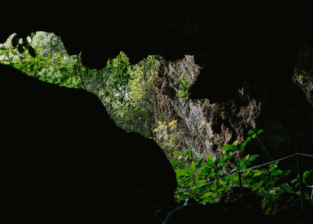View of the outside world from inside of St Hermans Cave