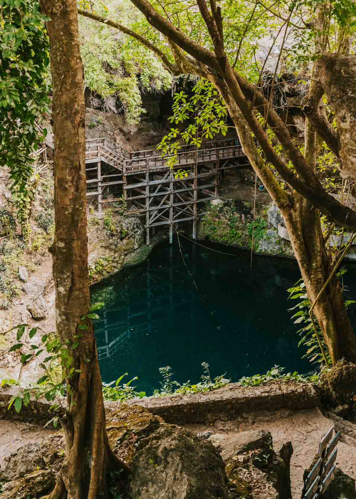 7 BEST Valladolid Cenotes for Swimming