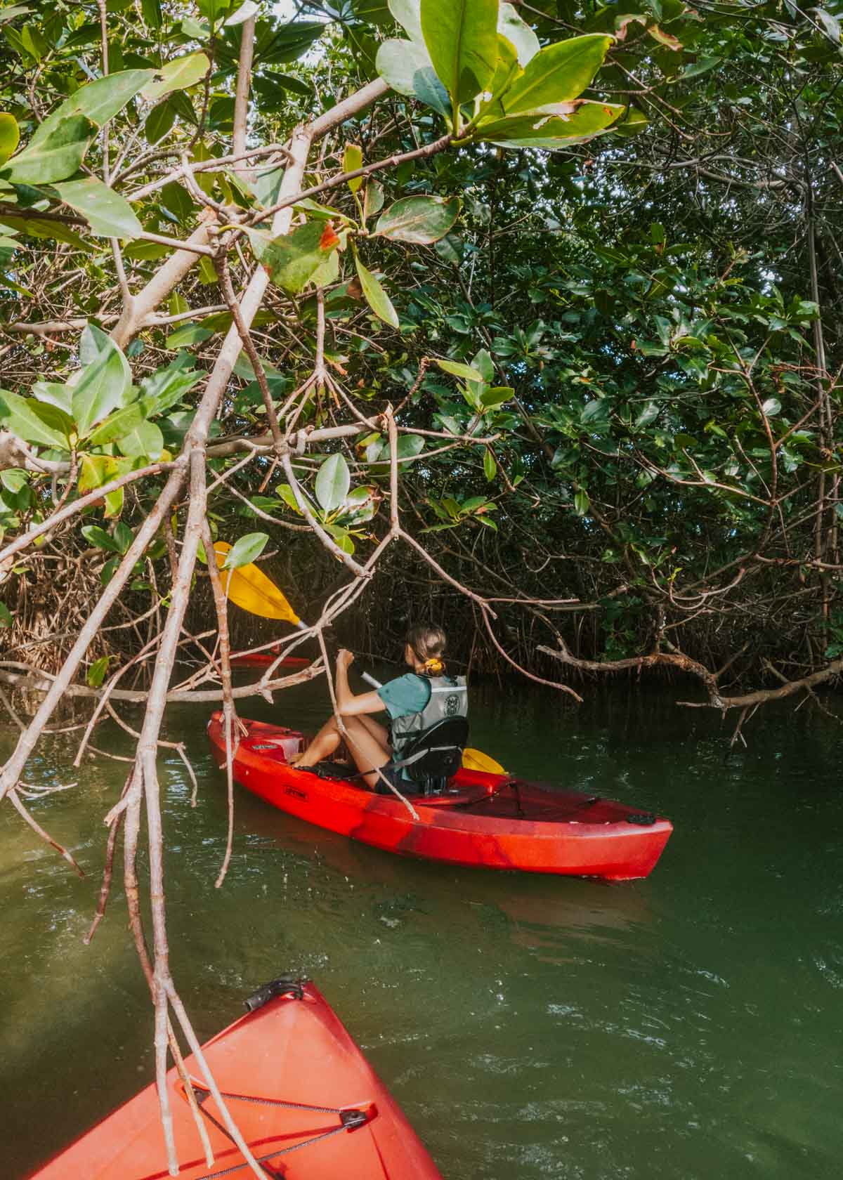 How to Explore Cancun’s Nichupté Lagoon: Kayak + More