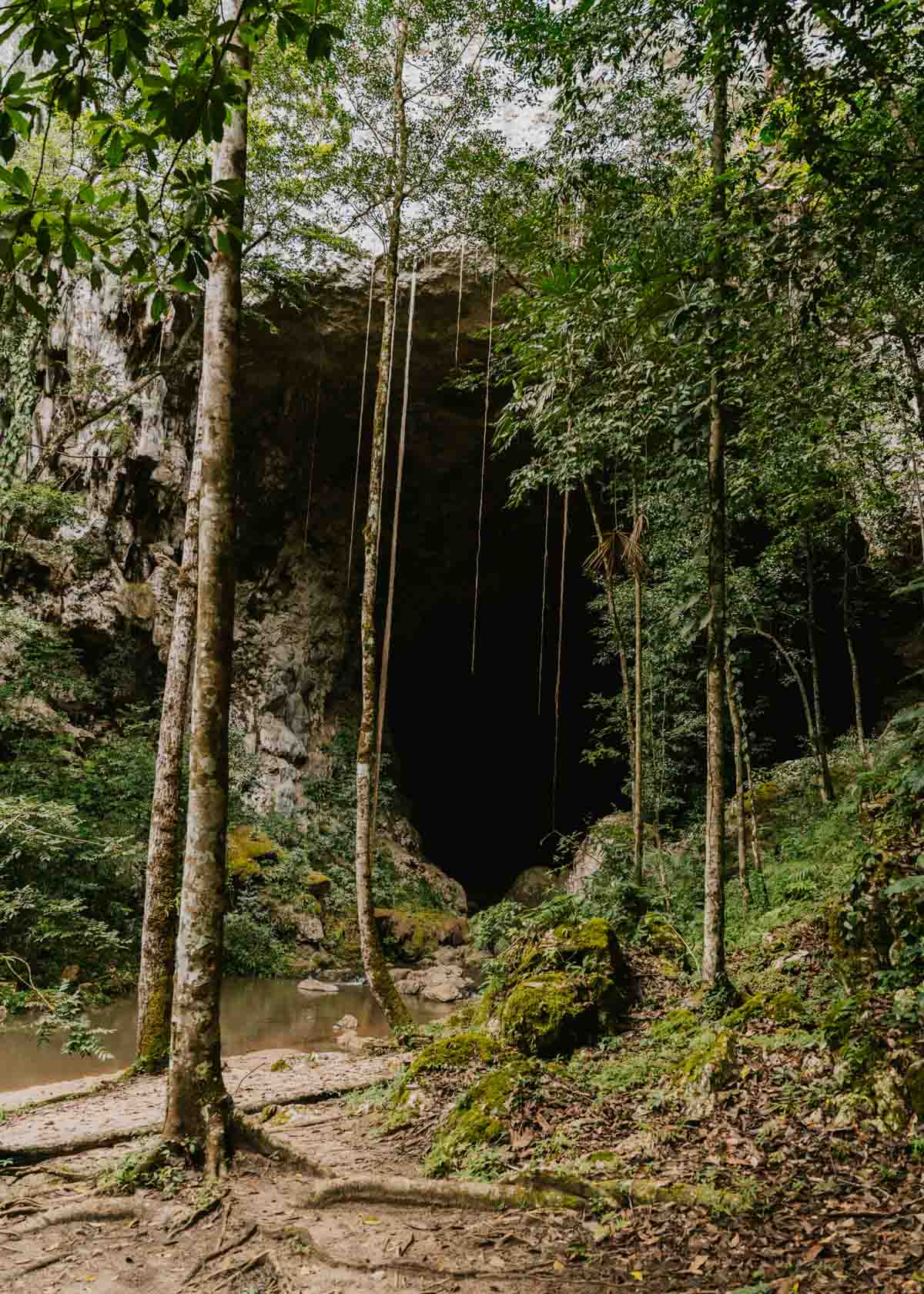 The Ultimate Guide to Rio Frio Cave Belize